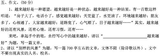 別樣的風(fēng)景作文600字