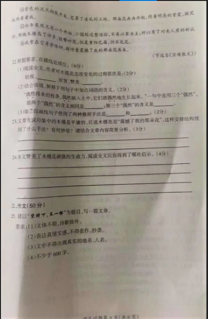 1562046392566376.png
