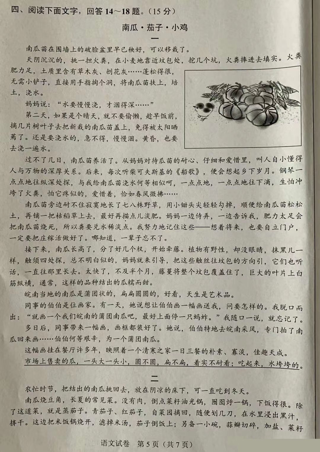 1595510558653408.jpg